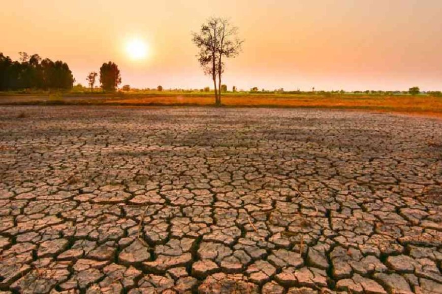 राजस्थान में पड़ेगी भीषण गर्मी, 13 जिले रेड जोन में