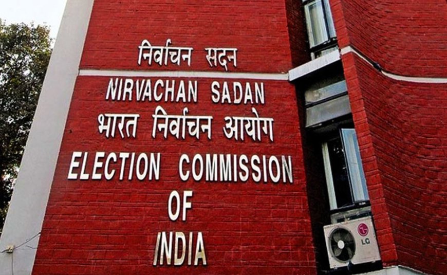 वीडियो कॉन्फ्रेंसिंग के जरिए चुनाव आयोग ने दिए दिशा-निर्देश