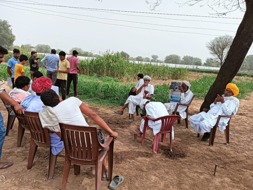 अंधड़ से पशुओं की मौत