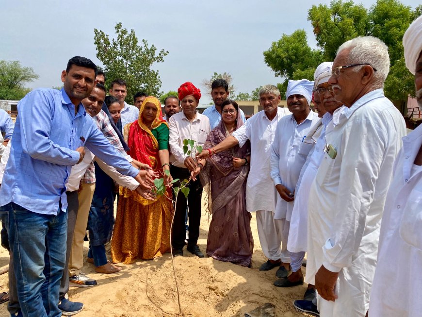 जिला प्रमुख ने पौधारोपण कर दिया पर्यावरण संरक्षण का संदेश