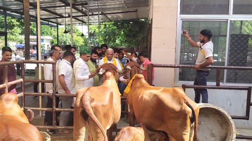 हिंगोनिया गौशाला का दौरा, मंत्री जवाहर सिंह बेढम और महापौर मुनेश गुर्जर ने किया निरीक्षण