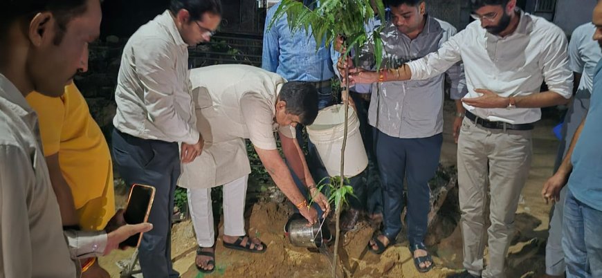 वन एवं पर्यावरण मंत्री संजय शर्मा ने किया पौधारोपण, कहा-मानव जीवन के स्वास्थ्य के लिए उपयोगी है पेड़।