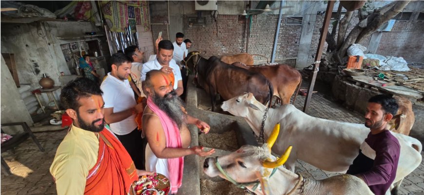 आस्था का महासंगम : गौ माता की पूजा में छिपा है एक विशेष संदेश।