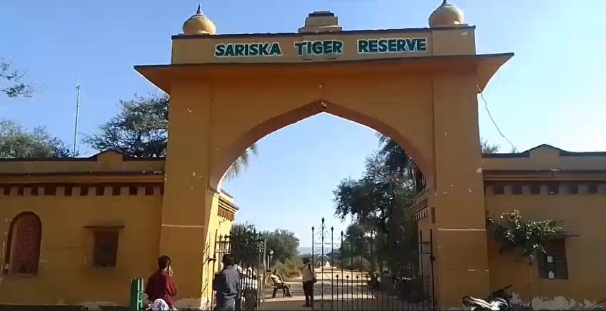 सरिस्का राष्ट्रीय उद्यान: वन्यजीव संरक्षण का प्रतीक और राजस्थान का गौरव
